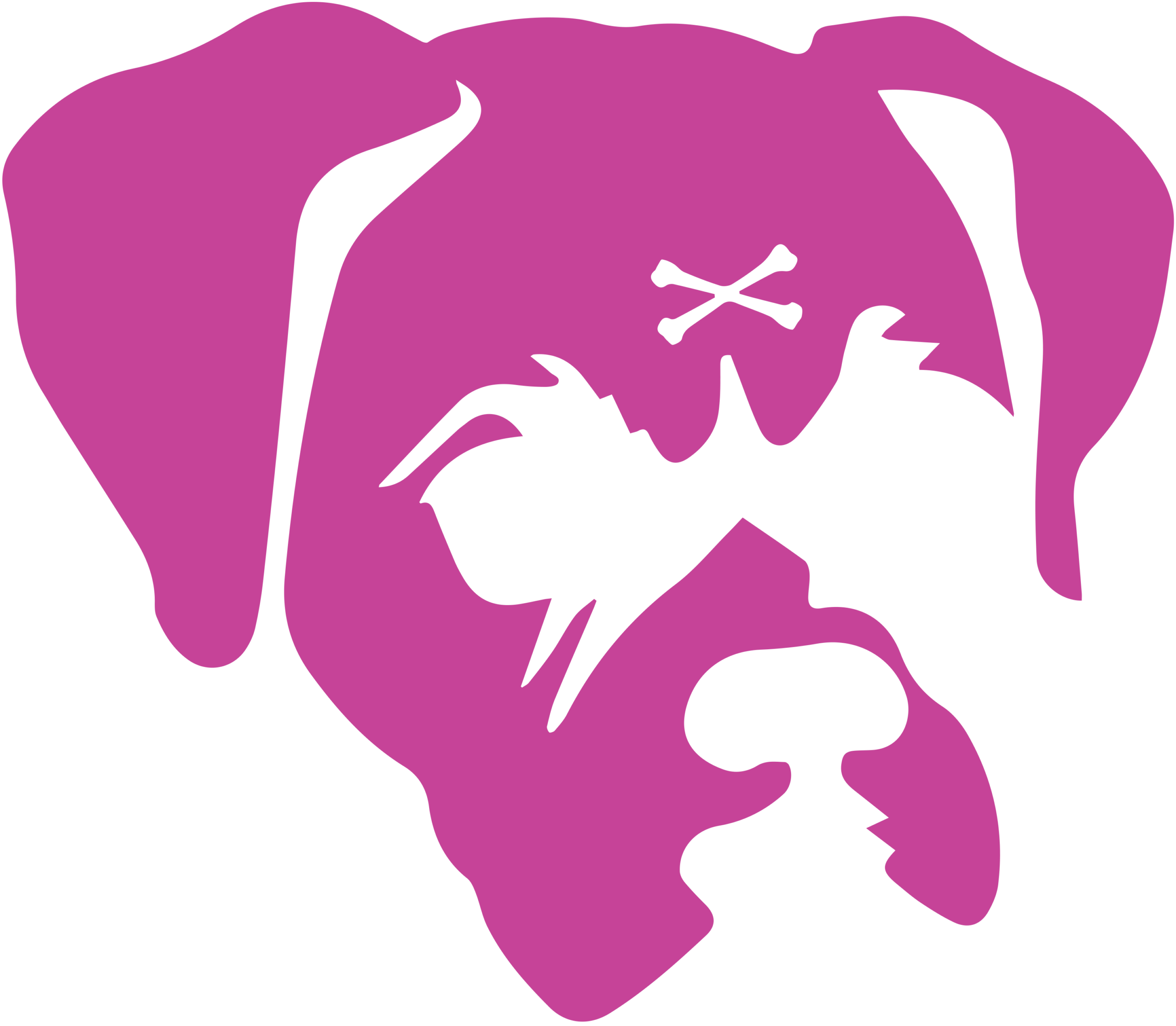 Boxer Face Records